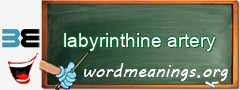 WordMeaning blackboard for labyrinthine artery